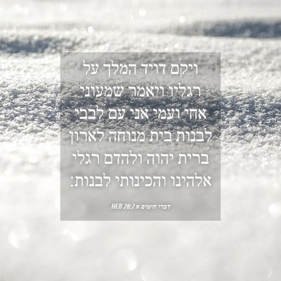 Picture 04 - דברי הימים א 28:2 HEB - ויקם דויד המלך על רגליו - Bible Verse Picture