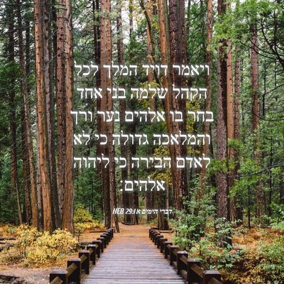 Picture 04 - דברי הימים א 29:1 HEB - ויאמר דויד המלך לכל הקהל - Bible Verse Picture