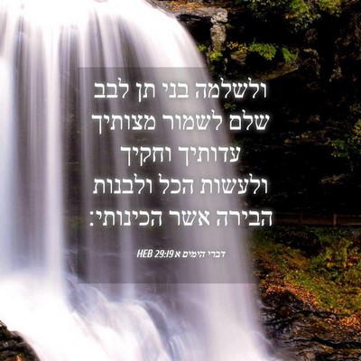 Picture 04 - דברי הימים א 29:19 HEB - ולשלמה בני תן לבב שלם לשמור - Bible Verse Picture