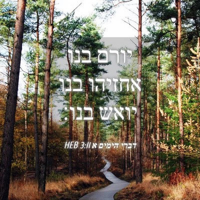 Picture 04 - דברי הימים א 3:11 HEB - יורם בנו אחזיהו בנו יואש - Bible Verse Picture