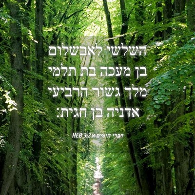 Picture 04 - דברי הימים א 3:2 HEB - השלשי לאבשלום בן מעכה בת - Bible Verse Picture
