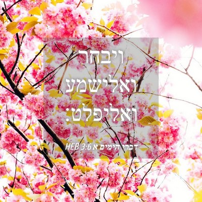 Picture 04 - דברי הימים א 3:6 HEB - ויבחר ואלישמע - Bible Verse Picture