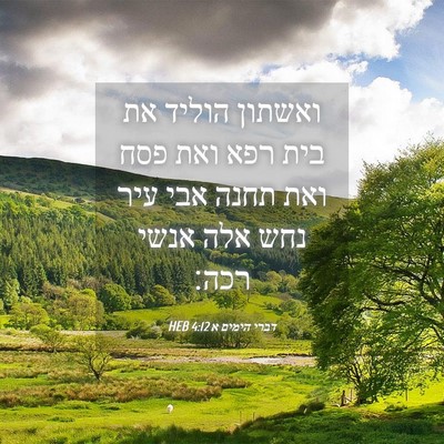 Picture 04 - דברי הימים א 4:12 HEB - ואשתון הוליד את בית רפא ואת - Bible Verse Picture