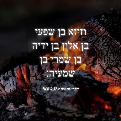 Picture 04 - דברי הימים א 4:37 HEB - וזיזא בן שפעי בן אלון בן - Bible Verse Picture