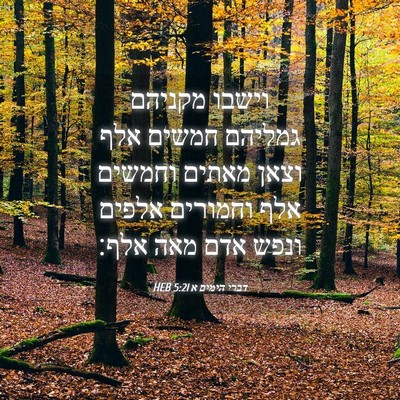 Picture 04 - דברי הימים א 5:21 HEB - וישבו מקניהם גמליהם חמשים - Bible Verse Picture