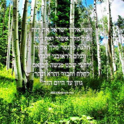 Picture 04 - דברי הימים א 5:26 HEB - ויער אלהי ישראל את רוח פול - Bible Verse Picture