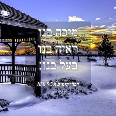 Picture 04 - דברי הימים א 5:5 HEB - מיכה בנו ראיה בנו בעל - Bible Verse Picture