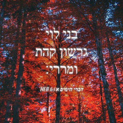 Picture 04 - דברי הימים א 6:1 HEB - בני לוי גרשון קהת - Bible Verse Picture