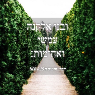 Picture 04 - דברי הימים א 6:25 HEB - ובני אלקנה עמשי - Bible Verse Picture