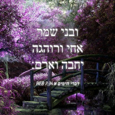 Picture 04 - דברי הימים א 7:34 HEB - ובני שמר אחי ורוהגה יחבה - Bible Verse Picture