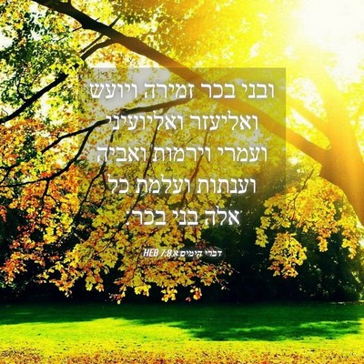 Picture 04 - דברי הימים א 7:8 HEB - ובני בכר זמירה ויועש - Bible Verse Picture