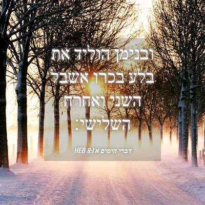 Picture 04 - דברי הימים א 8:1 HEB - ובנימן הוליד את בלע בכרו - Bible Verse Picture