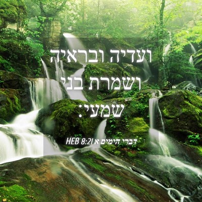 Picture 04 - דברי הימים א 8:21 HEB - ועדיה ובראיה ושמרת בני - Bible Verse Picture