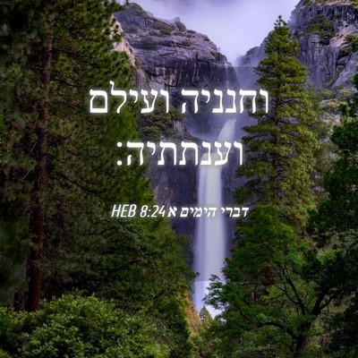 Picture 04 - דברי הימים א 8:24 HEB - וחנניה ועילם - Bible Verse Picture