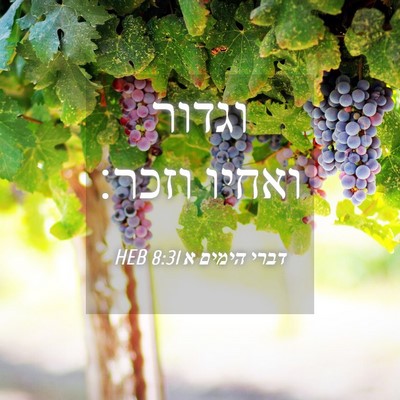 Picture 04 - דברי הימים א 8:31 HEB - וגדור ואחיו - Bible Verse Picture