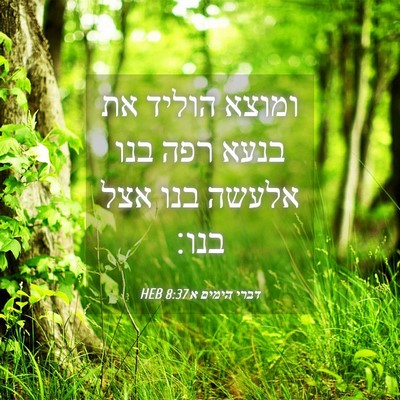 Picture 04 - דברי הימים א 8:37 HEB - ומוצא הוליד את בנעא רפה בנו - Bible Verse Picture