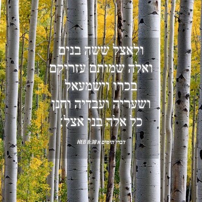 Picture 04 - דברי הימים א 8:38 HEB - ולאצל ששה בנים ואלה שמותם - Bible Verse Picture