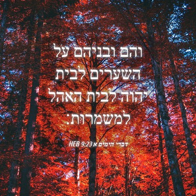 Picture 04 - דברי הימים א 9:23 HEB - והם ובניהם על השערים לבית - Bible Verse Picture
