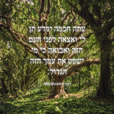 Picture 04 - דברי הימים ב 1:10 HEB - עתה חכמה ומדע תן לי ואצאה - Bible Verse Picture