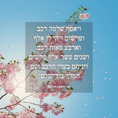 Picture 04 - דברי הימים ב 1:14 HEB - ויאסף שלמה רכב ופרשים ויהי - Bible Verse Picture