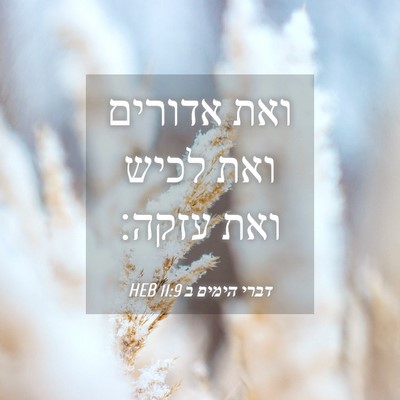 Picture 04 - דברי הימים ב 11:9 HEB - ואת אדורים ואת לכיש ואת - Bible Verse Picture