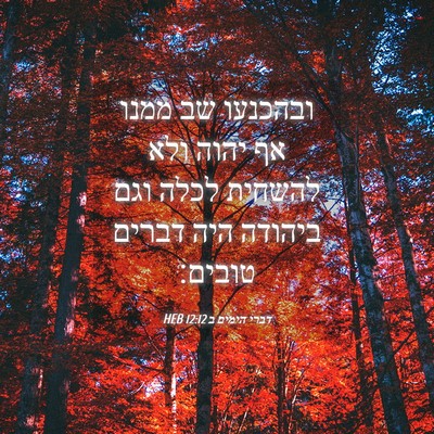 Picture 04 - דברי הימים ב 12:12 HEB - ובהכנעו שב ממנו אף יהוה ולא - Bible Verse Picture