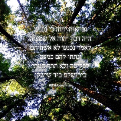 Picture 04 - דברי הימים ב 12:7 HEB - ובראות יהוה כי נכנעו היה - Bible Verse Picture