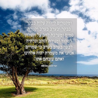 Picture 04 - דברי הימים ב 13:11 HEB - ומקטרים ליהוה עלות בבקר - Bible Verse Picture