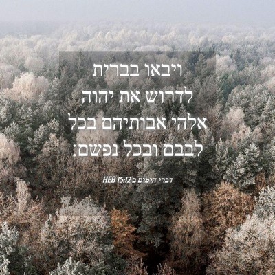 Picture 04 - דברי הימים ב 15:12 HEB - ויבאו בברית לדרוש את יהוה - Bible Verse Picture