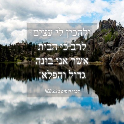 Picture 04 - דברי הימים ב 2:9 HEB - ולהכין לי עצים לרב כי הבית - Bible Verse Picture