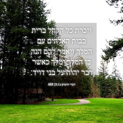 Picture 04 - דברי הימים ב 23:3 HEB - ויכרת כל הקהל ברית בבית - Bible Verse Picture