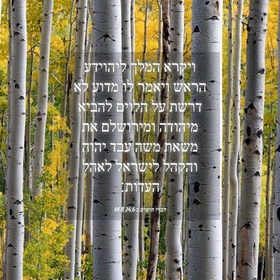 Picture 04 - דברי הימים ב 24:6 HEB - ויקרא המלך ליהוידע הראש - Bible Verse Picture