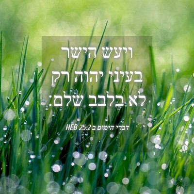 Picture 04 - דברי הימים ב 25:2 HEB - ויעש הישר בעיני יהוה רק לא - Bible Verse Picture