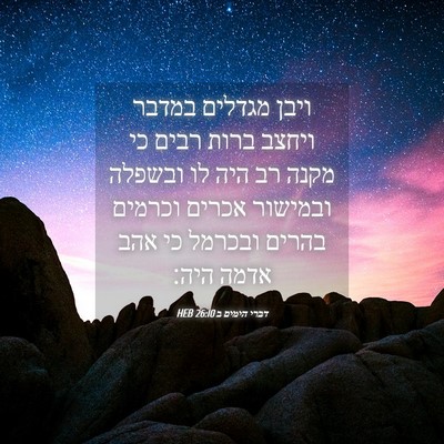 Picture 04 - דברי הימים ב 26:10 HEB - ויבן מגדלים במדבר ויחצב - Bible Verse Picture