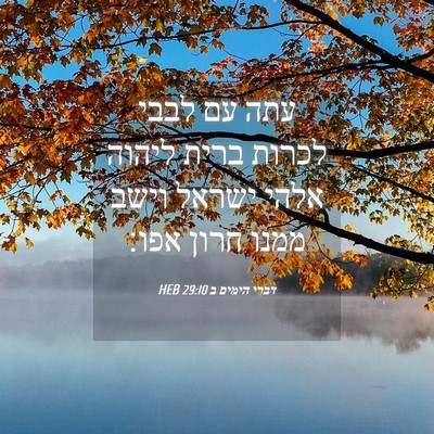 Picture 04 - דברי הימים ב 29:10 HEB - עתה עם לבבי לכרות ברית - Bible Verse Picture