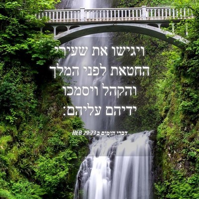 Picture 04 - דברי הימים ב 29:23 HEB - ויגישו את שעירי החטאת לפני - Bible Verse Picture
