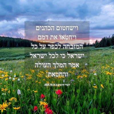 Picture 04 - דברי הימים ב 29:24 HEB - וישחטום הכהנים ויחטאו את - Bible Verse Picture