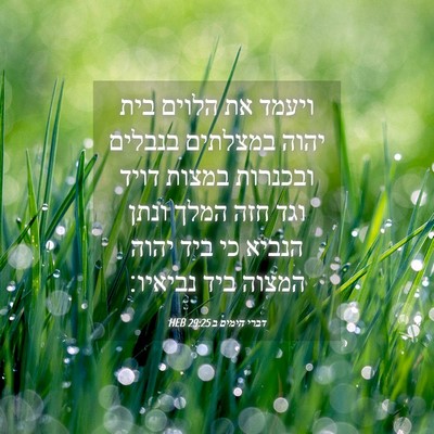 Picture 04 - דברי הימים ב 29:25 HEB - ויעמד את הלוים בית יהוה - Bible Verse Picture