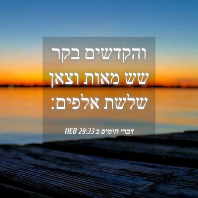 Picture 04 - דברי הימים ב 29:33 HEB - והקדשים בקר שש מאות וצאן - Bible Verse Picture