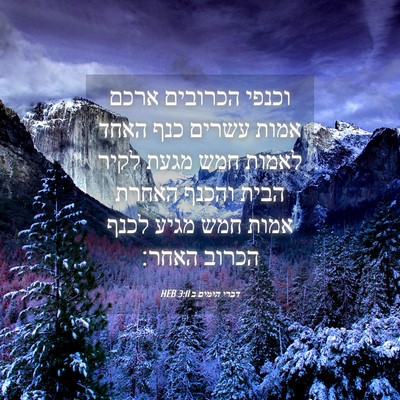 Picture 04 - דברי הימים ב 3:11 HEB - וכנפי הכרובים ארכם אמות - Bible Verse Picture
