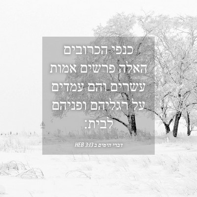Picture 04 - דברי הימים ב 3:13 HEB - כנפי הכרובים האלה פרשים - Bible Verse Picture