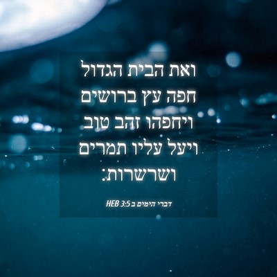 Picture 04 - דברי הימים ב 3:5 HEB - ואת הבית הגדול חפה עץ - Bible Verse Picture