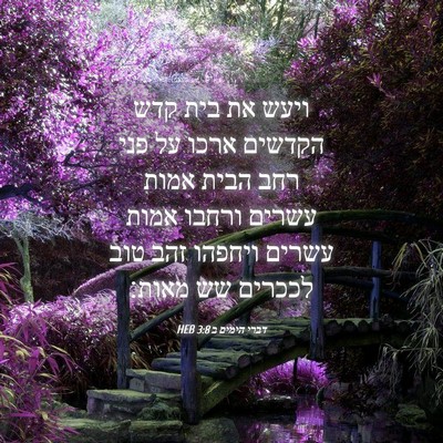 Picture 04 - דברי הימים ב 3:8 HEB - ויעש את בית קדש הקדשים ארכו - Bible Verse Picture
