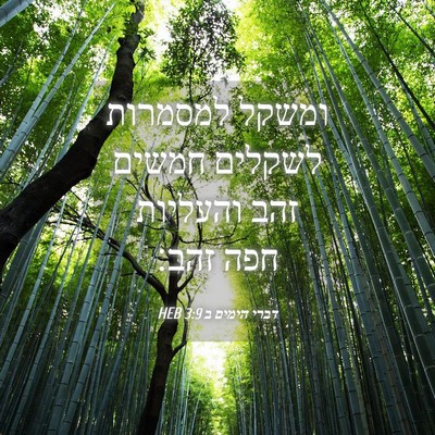 Picture 04 - דברי הימים ב 3:9 HEB - ומשקל למסמרות לשקלים חמשים - Bible Verse Picture