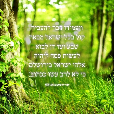 Picture 04 - דברי הימים ב 30:5 HEB - ויעמידו דבר להעביר קול בכל - Bible Verse Picture