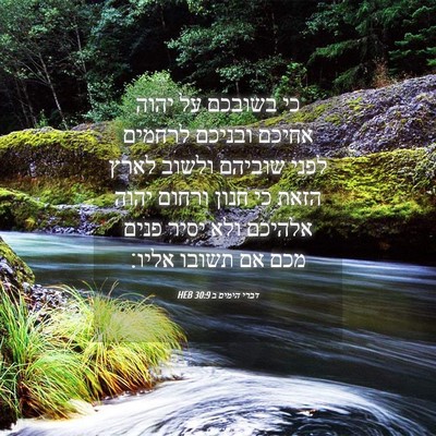 Picture 04 - דברי הימים ב 30:9 HEB - כי בשובכם על יהוה אחיכם - Bible Verse Picture