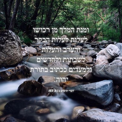 Picture 04 - דברי הימים ב 31:3 HEB - ומנת המלך מן רכושו לעלות - Bible Verse Picture