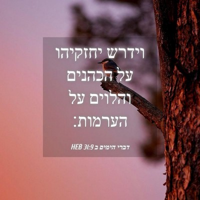 Picture 04 - דברי הימים ב 31:9 HEB - וידרש יחזקיהו על הכהנים - Bible Verse Picture