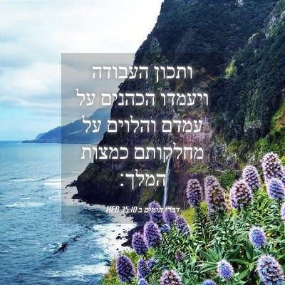 Picture 04 - דברי הימים ב 35:10 HEB - ותכון העבודה ויעמדו הכהנים - Bible Verse Picture
