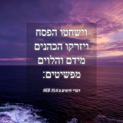 Picture 04 - דברי הימים ב 35:11 HEB - וישחטו הפסח ויזרקו הכהנים - Bible Verse Picture